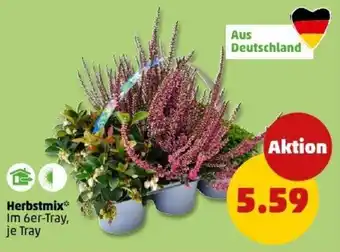 PENNY Herbstmix Angebot