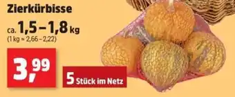 Thomas Philipps Zierkürbisse Angebot