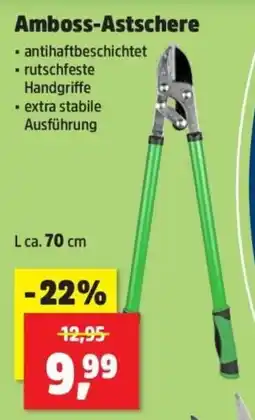 Thomas Philipps Amboss-Astschere Angebot