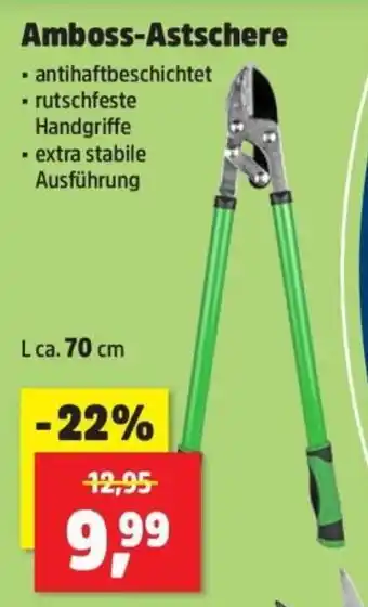 Thomas Philipps Amboss-Astschere Angebot