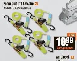 V Baumarkt Spanngurt mit Ratsche Angebot