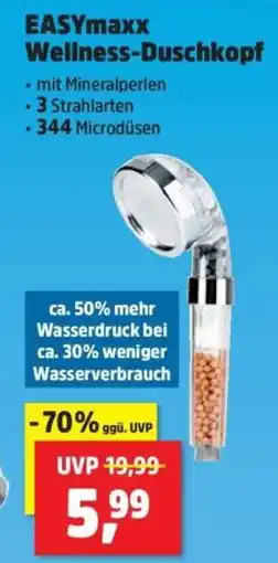 Thomas Philipps EASYmaxx Wellness-Duschkopf Angebot