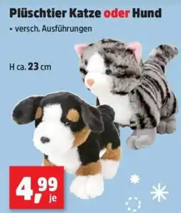 Thomas Philipps Plüschtier Katze oder Hund Angebot