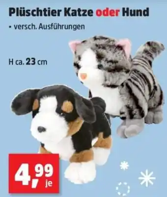Thomas Philipps Plüschtier Katze oder Hund Angebot