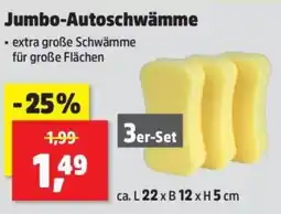 Thomas Philipps Jumbo-Autoschwämme 3er-Set Angebot