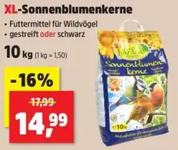 Thomas Philipps XL-Sonnenblumenkerne Angebot