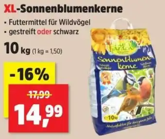 Thomas Philipps XL-Sonnenblumenkerne Angebot