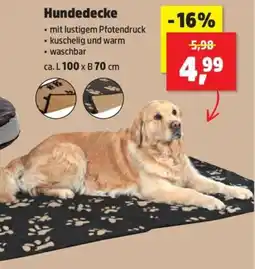 Thomas Philipps Hundedecke Angebot