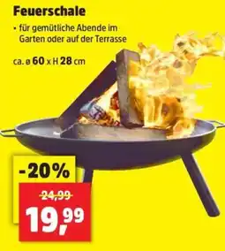 Thomas Philipps Feuerschale Angebot