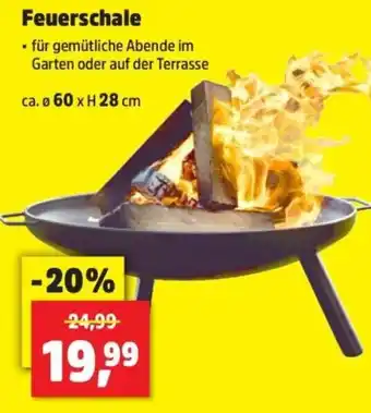 Thomas Philipps Feuerschale Angebot