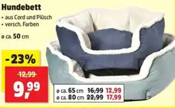 Thomas Philipps Hundebett Angebot