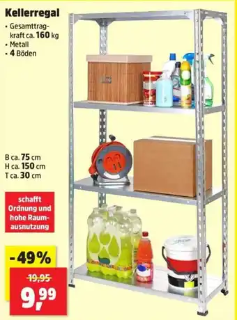 Thomas Philipps Kellerregal Angebot