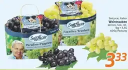 inkoop Sanfucar Weintrauben Angebot