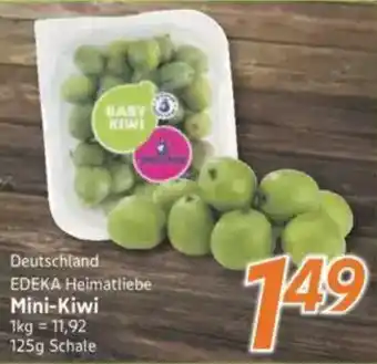 inkoop Mini-Kiwi Angebot