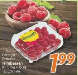 inkoop Portugal Driscoll's Himbeeren Angebot