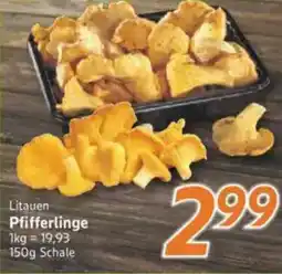inkoop Litauen Pfifferlinge Angebot