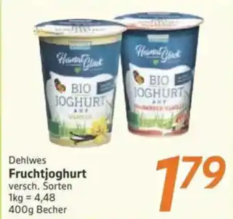 inkoop Dehlwes Fruchtjoghurt Angebot