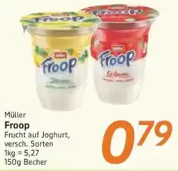 inkoop Müller Froop Angebot