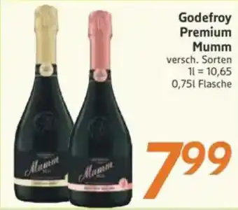 inkoop Godefroy Premium Mumm Angebot