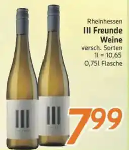 inkoop Rheinhessen III Freunde Weine Angebot