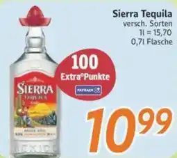 inkoop Sierra Tequila Angebot