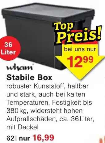 Wiglo Wunderland wham Stabile Box Angebot