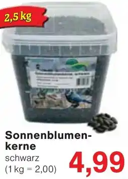 Wiglo Wunderland Sonnenblumenkerne Angebot