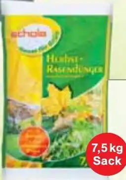 Wiglo Wunderland Schola Herbst Rasendünger Angebot