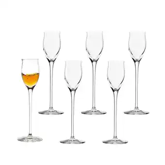 Netto Marken-Discount Stölzle Lausitz Edelbrandgläser Quatrophil 65 ml 6er Set Angebot