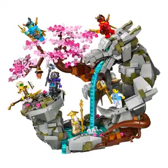 Netto Marken-Discount LEGO NINJAGO Drachenstein-Tempel Angebot