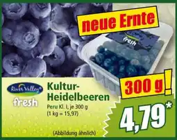 Norma Kultur­ heidelbeeren Angebot