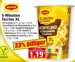 Norma 5-Minuten Terrine XL Angebot