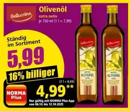 Norma Olivenöl Angebot
