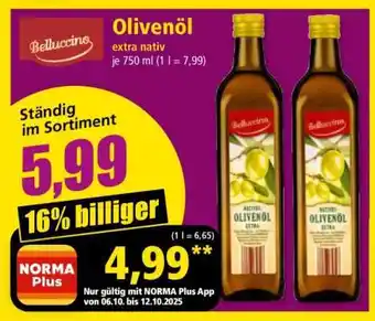 Norma Olivenöl Angebot