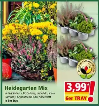 Norma Heidegarten Mix Angebot