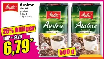 Norma Auslese Angebot