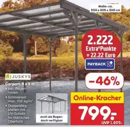 Netto Marken-Discount Carport 5 x 3 m Angebot