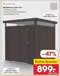 Netto Marken-Discount Gerätehaus Luzern Pro Angebot