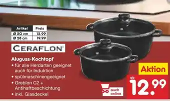Netto Marken-Discount Aluguss Kochtopf Angebot