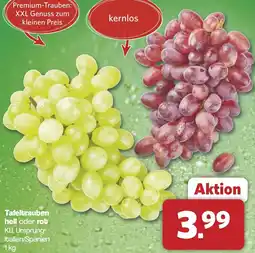 Famila Nord West Tafeltrauben hell oder rot Angebot