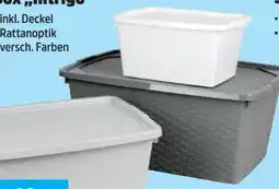Thomas Philipps Intrigo Box Angebot