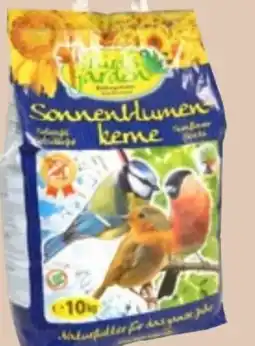 Thomas Philipps Bird's Garden Sonnenblumenkerne Angebot