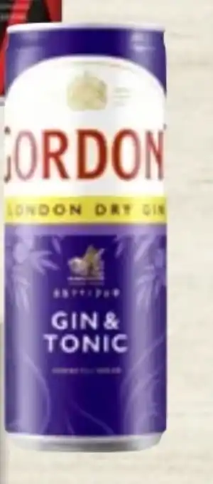 Thomas Philipps Gordon's Gin & Tonic Angebot