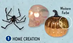 Aldi Süd Home Creation LED-Halloween-Sortiment Angebot