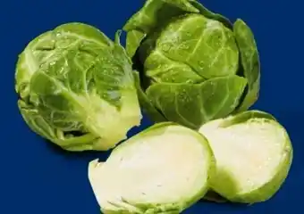 Lidl Rosenkohl Angebot