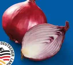Lidl Zwiebeln Angebot