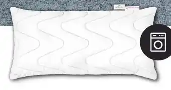 Schaffrath Centa-Star Kopfkissen Sport Line Angebot