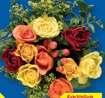 Lidl Rosenstrauß Angebot