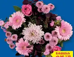 Lidl Chrysanthemen Strauß Angebot