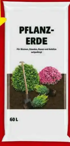 Hagebau Pflanzerde Angebot